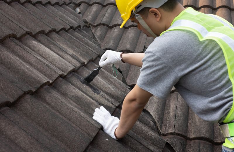 Specialized Roofing Services